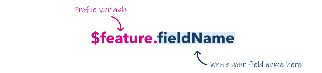 Image of Arcade syntax for profile variables where they are prefaced with a dollar sign. The example given is dollar sign, "feature", full stop then your field name.