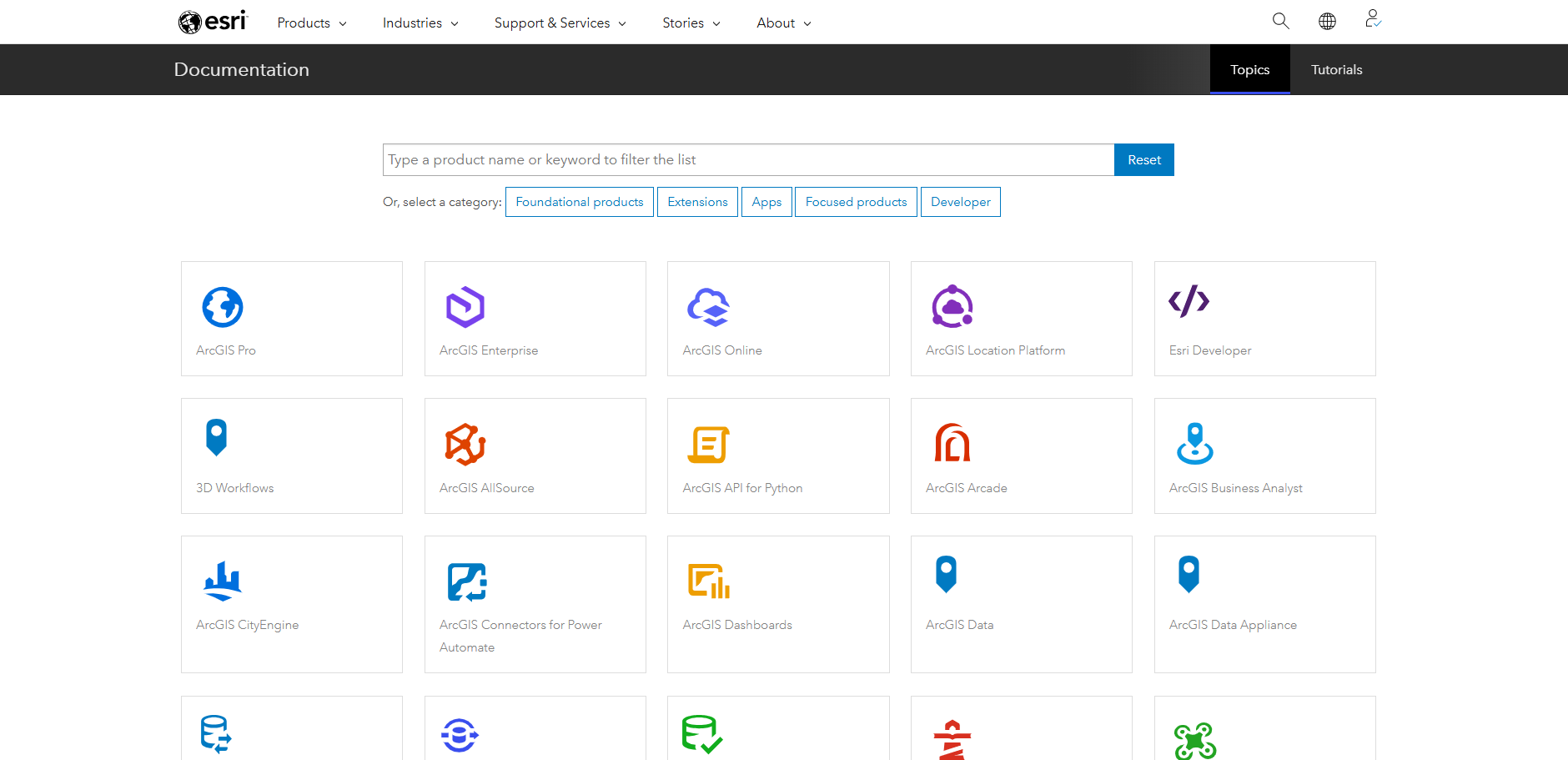 Screenshot of the Esri documentation page